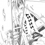 FF Ninenya Kaisei Han