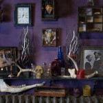 Shannyn Visceral, Miss Morgane All Hallow’s Eve