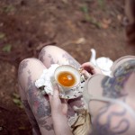 Cait Lion Forest Blend