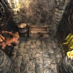 Elven Desires – Part 1