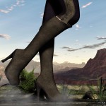 Knight Elayne The Old Chapel 1