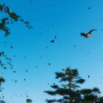 Infernal Love Part 1