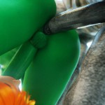 Agent A – Space Lust Part 2