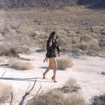 Amber Fox – Desert Patrol