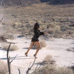 Amber Fox – Desert Patrol