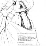 NMNE (NinaMoriNoEroihon)