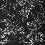 NMNE (NinaMoriNoEroihon)