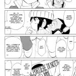 PRISONER 2 CASE of ARASHI