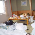 Summer Festival AD Dairy 2002