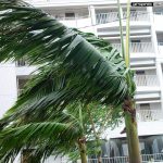 Summer Festival AD Dairy 2002