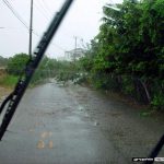 Summer Festival AD Dairy 2002