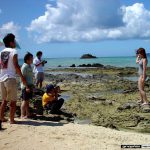 Summer Festival AD Dairy 2002