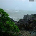 Summer Festival AD Dairy 2002