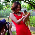 Summer Festival AD Dairy 2002