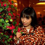 Special Contents Haruka Nomoto