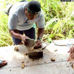 Special Contents 2003 Summer Festival in Palau