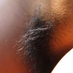 Special Contents Saki Ninomiya – Exotic Bird