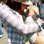 Feti Style Aoi Yasuhara