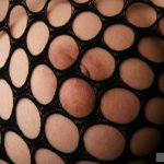 Feti Style Seiko Yamaguchi