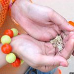 Special Contents Nana Natsume