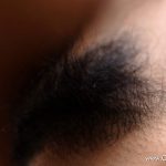 Special Contents 2006 Research Present Gallery Honoka