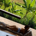 Special Contents Soara – Plentiful Rays