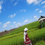 Special Contents Soara – Plentiful Rays