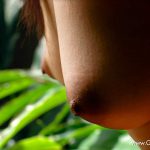 Special Contents Soara – Plentiful Rays