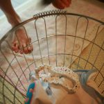 Feti Style Misuzu Hirose