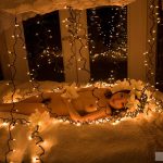 Limited Edition Yuma Asami – Element crystal