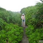 Special Contents Rina Himekawa in Miyako Island – Memories