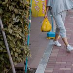 Feti Style Yayoi Houjou