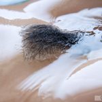 Rika Hoshimi – Bold Decision