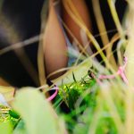 Yu Namiki – For YU