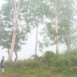 Airi Suzumura 鈴村あいり