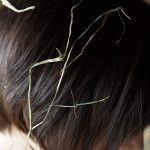 Airi Suzumura 鈴村あいり