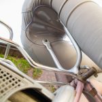 Yuu Shinoda 篠田ゆう