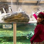 Rui Hasegawa 長谷川るい