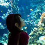 Rui Hasegawa 長谷川るい