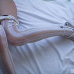 Emiri Seno 瀬尾えみり