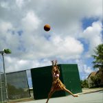 Hikari Inoue 井上ひかり