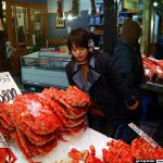 Hitomi Hayasaka 早坂ひとみ