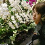 Hitomi Hayasaka 早坂ひとみ