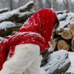 Kurumi Morishita 森下くるみ