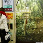 Kurumi Morishita 森下くるみ