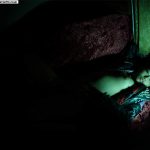 Ran Asakawa 朝河蘭