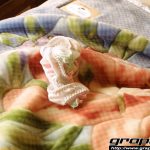 Riho Sakura 桜りほ