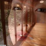 Saori Kamiya 神谷沙織