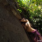 Hikari Hino 妃乃ひかり Afternoon listless