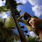 Honoka 穂花 Glittery Dawn